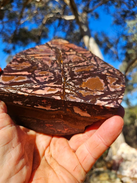 Polished Outback Jasper  OJ181