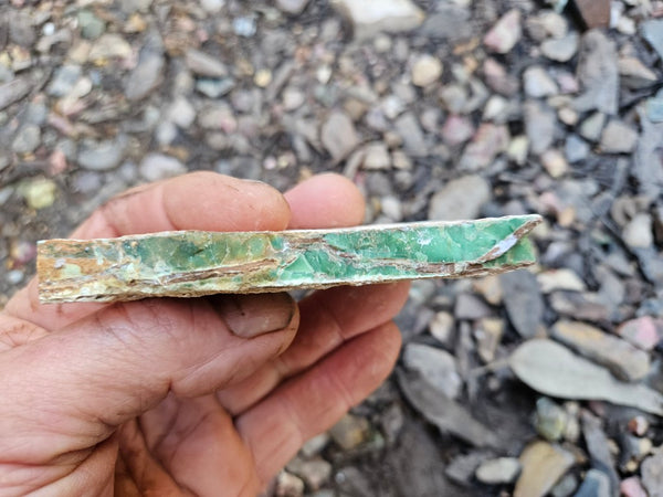 Variscite rough. VR589