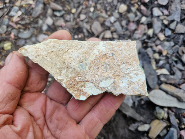 Variscite rough. VR589