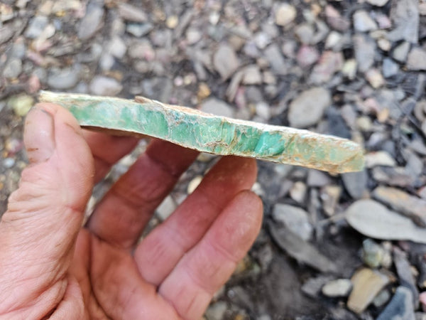 Variscite rough. VR589