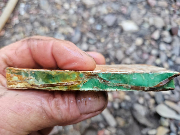 Variscite rough. VR589
