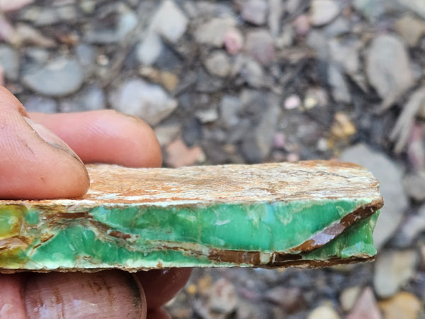 Variscite rough. VR589