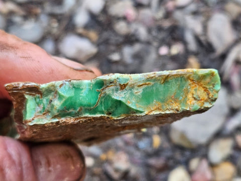 Variscite rough. VR589