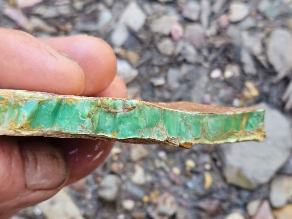 Variscite rough. VR589