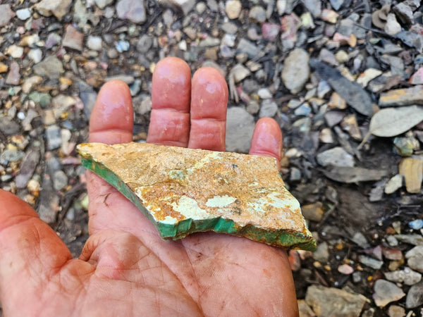 Variscite rough. VR589