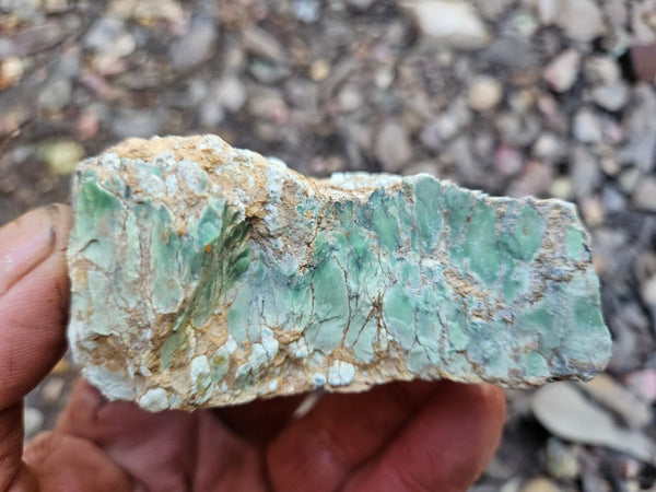 Variscite rough. VR590
