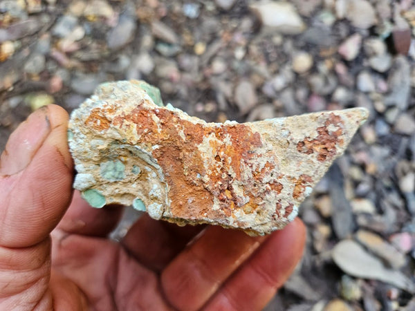 Variscite rough. VR590
