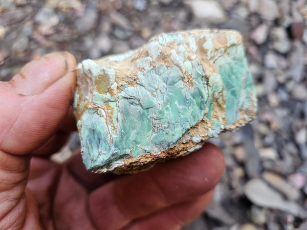 Variscite rough. VR590
