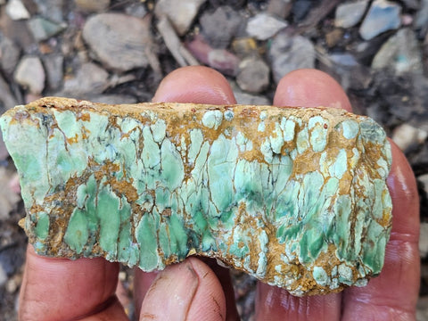 Variscite rough. VR590