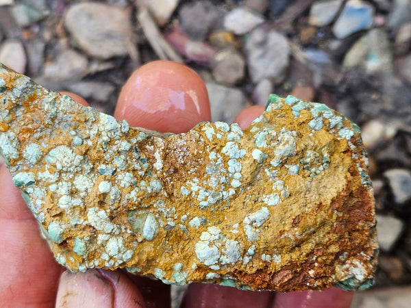 Variscite rough. VR590
