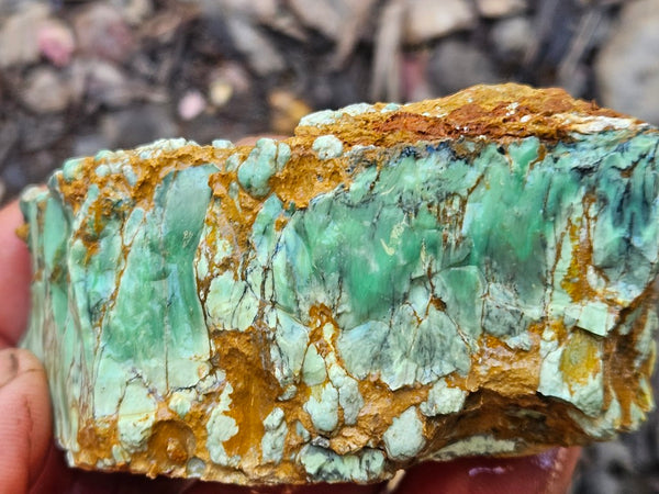 Variscite rough. VR590