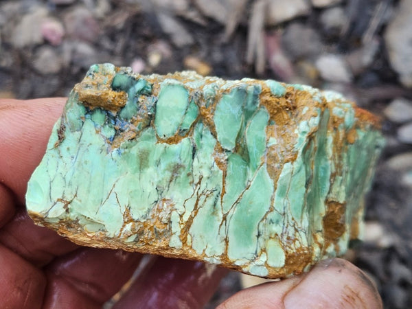 Variscite rough. VR590