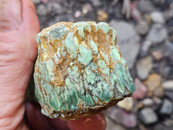 Variscite rough. VR590