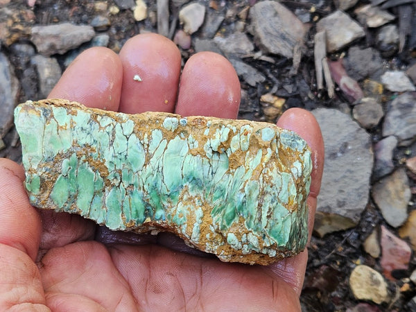 Variscite rough. VR590