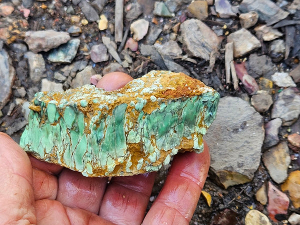 Variscite rough. VR590