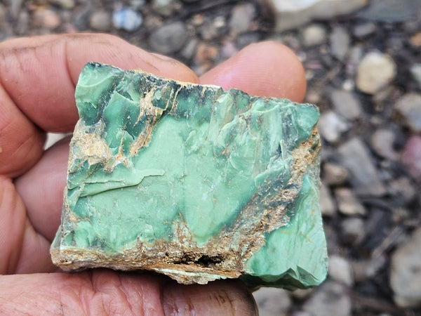Variscite rough. VR591