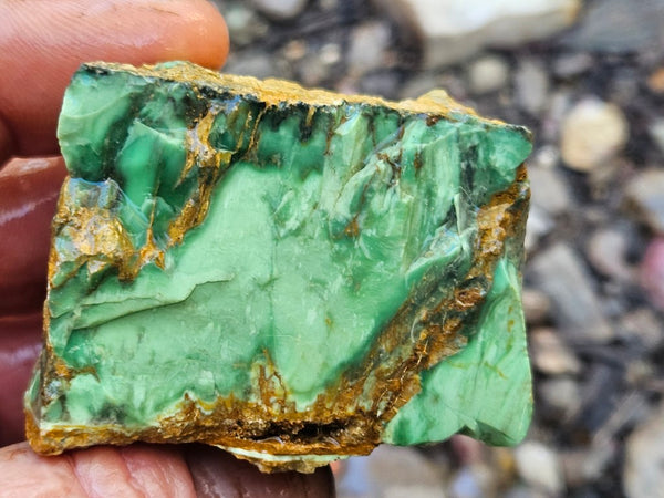 Variscite rough. VR591