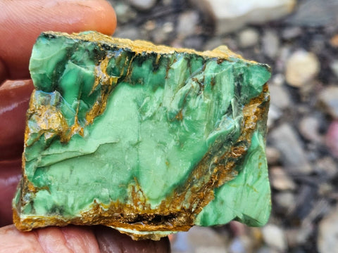 Variscite rough. VR591