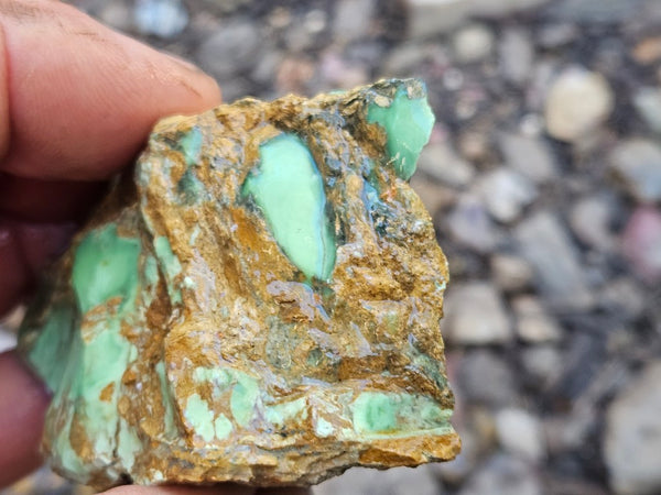 Variscite rough. VR591