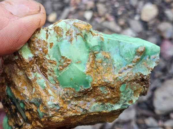 Variscite rough. VR591