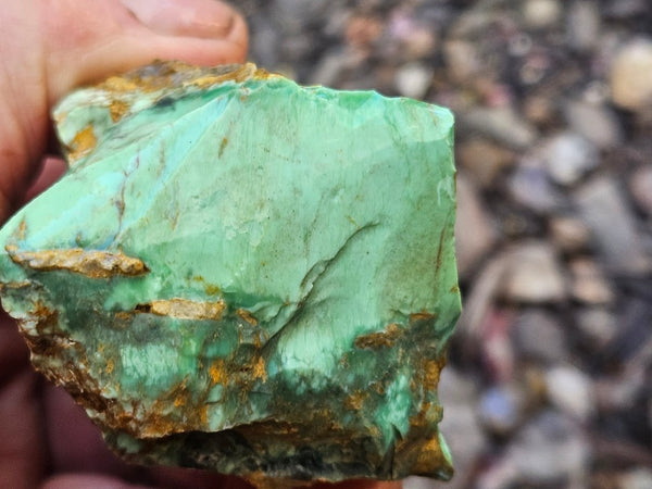 Variscite rough. VR591