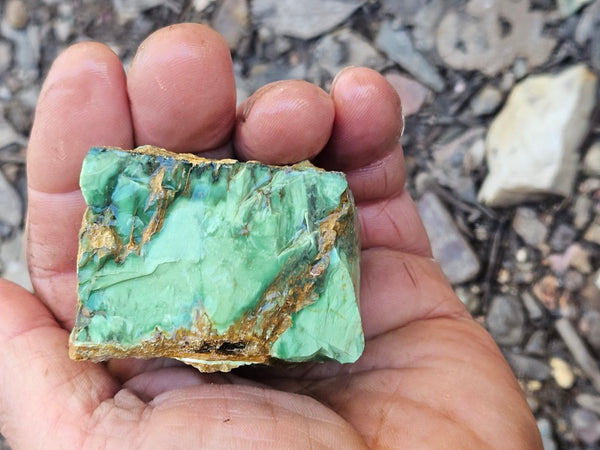 Variscite rough. VR591