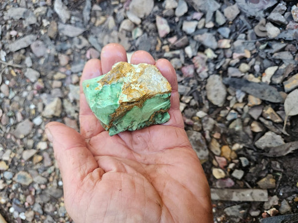 Variscite rough. VR591