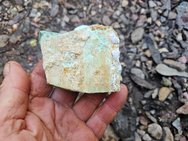 Variscite rough. VR592