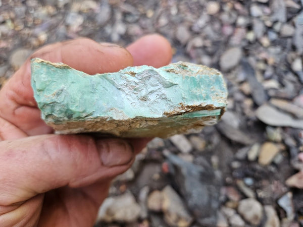 Variscite rough. VR592
