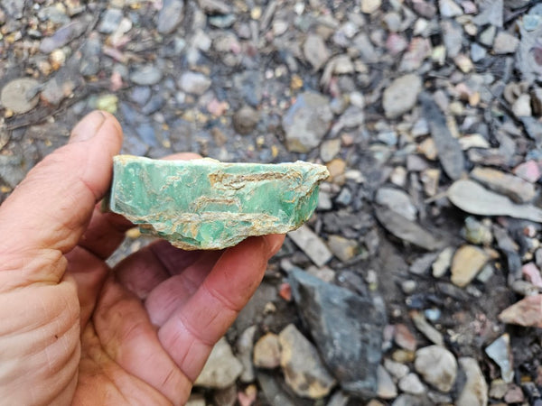 Variscite rough. VR592