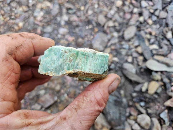 Variscite rough. VR592