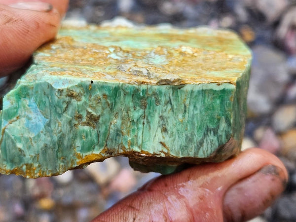 Variscite rough. VR592