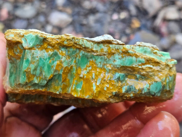 Variscite rough. VR592