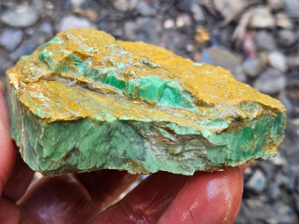 Variscite rough. VR592