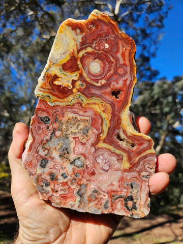 Polished Crazy Lace Agate  CLA268