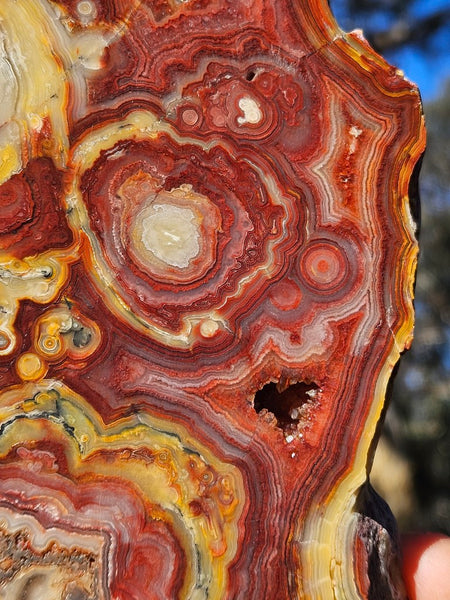 Polished Crazy Lace Agate  CLA268