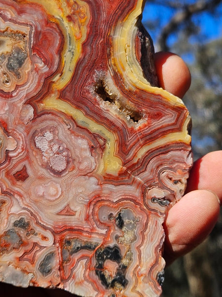 Polished Crazy Lace Agate  CLA268