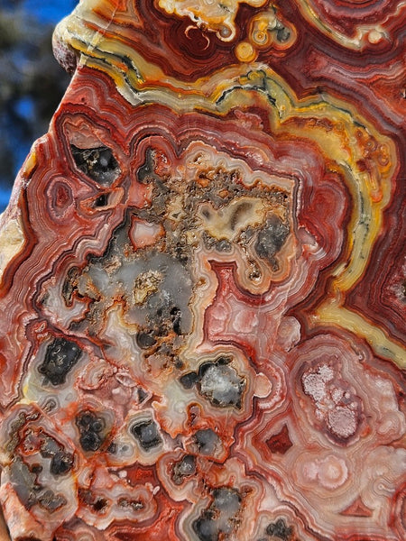 Polished Crazy Lace Agate  CLA268