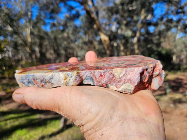 Polished Crazy Lace Agate  CLA268