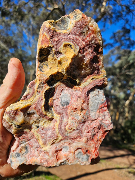 Polished Crazy Lace Agate  CLA268