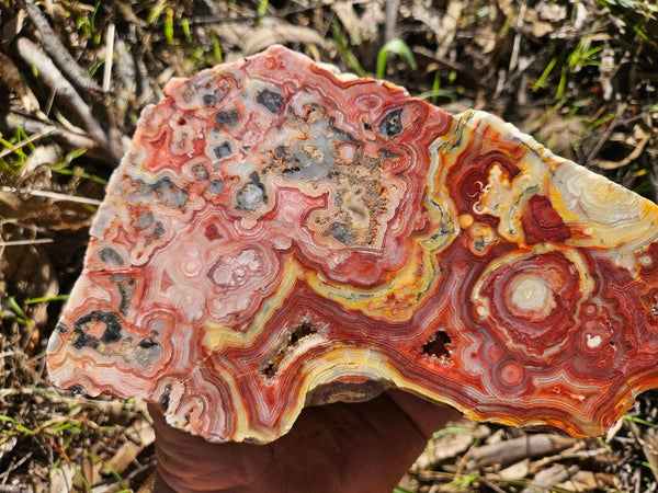Polished Crazy Lace Agate  CLA268