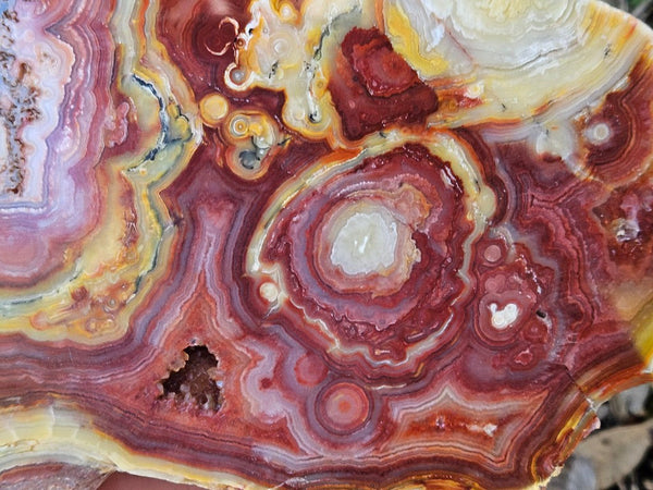 Polished Crazy Lace Agate  CLA268