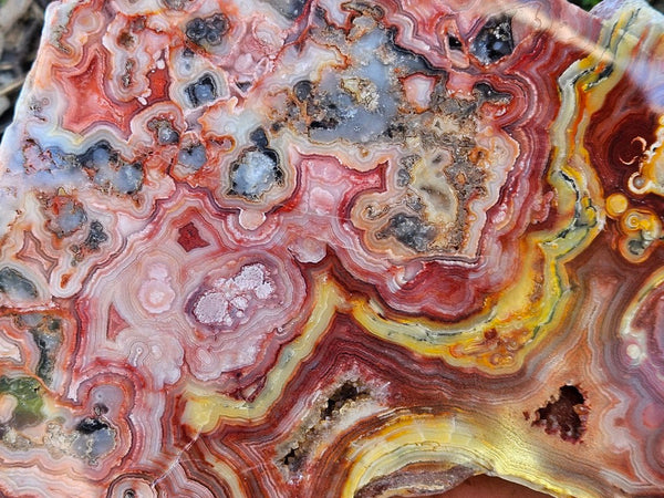 Polished Crazy Lace Agate  CLA268