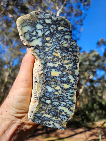 Polished Dendritic Opal DO225