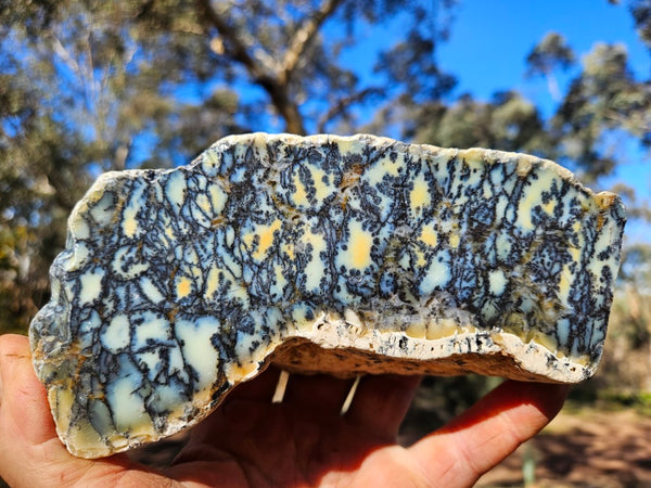 Polished Dendritic Opal DO225