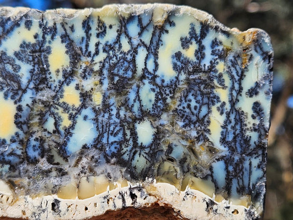 Polished Dendritic Opal DO225