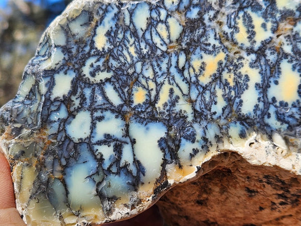 Polished Dendritic Opal DO225