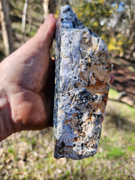 Polished Dendritic Opal DO225