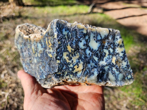 Polished Dendritic Opal DO225