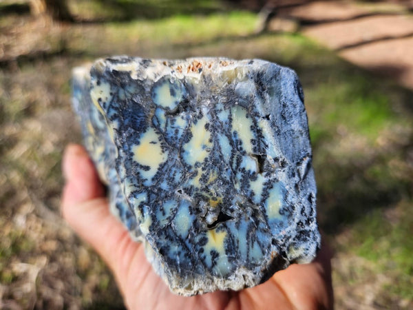 Polished Dendritic Opal DO225